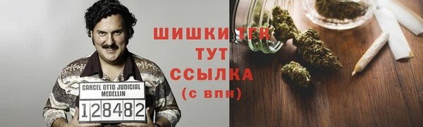 прущие грибы Вязьма